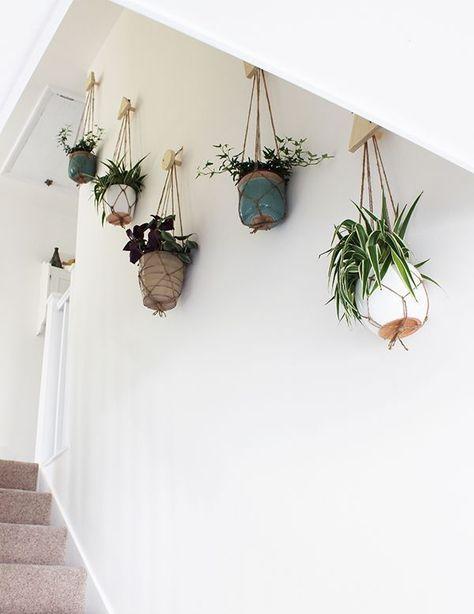 decorar con plantas colgantes VI