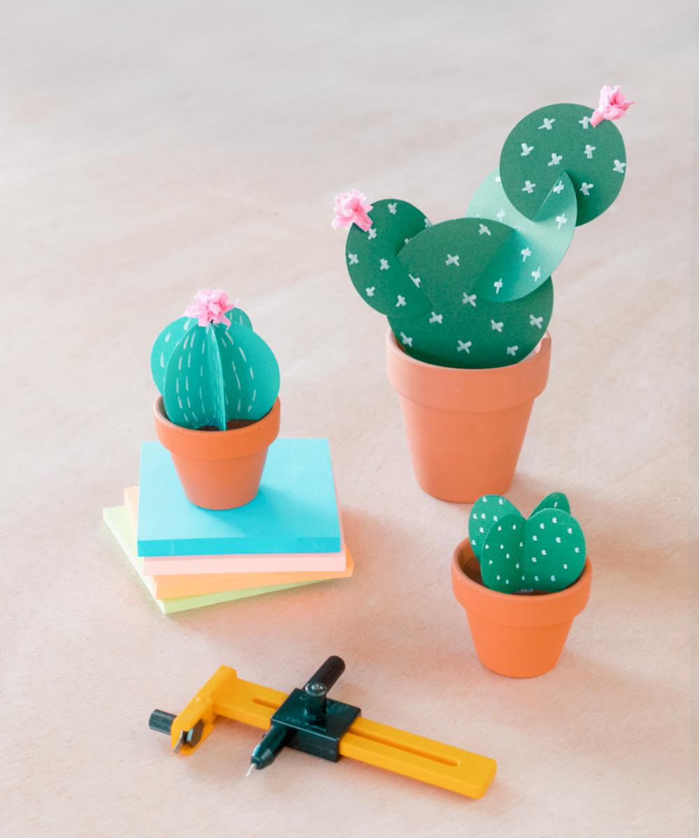 Tres formas diferentes de hacer cactus de cartulina
