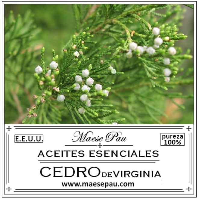 Aceite Esencial de Cedro de Virginia