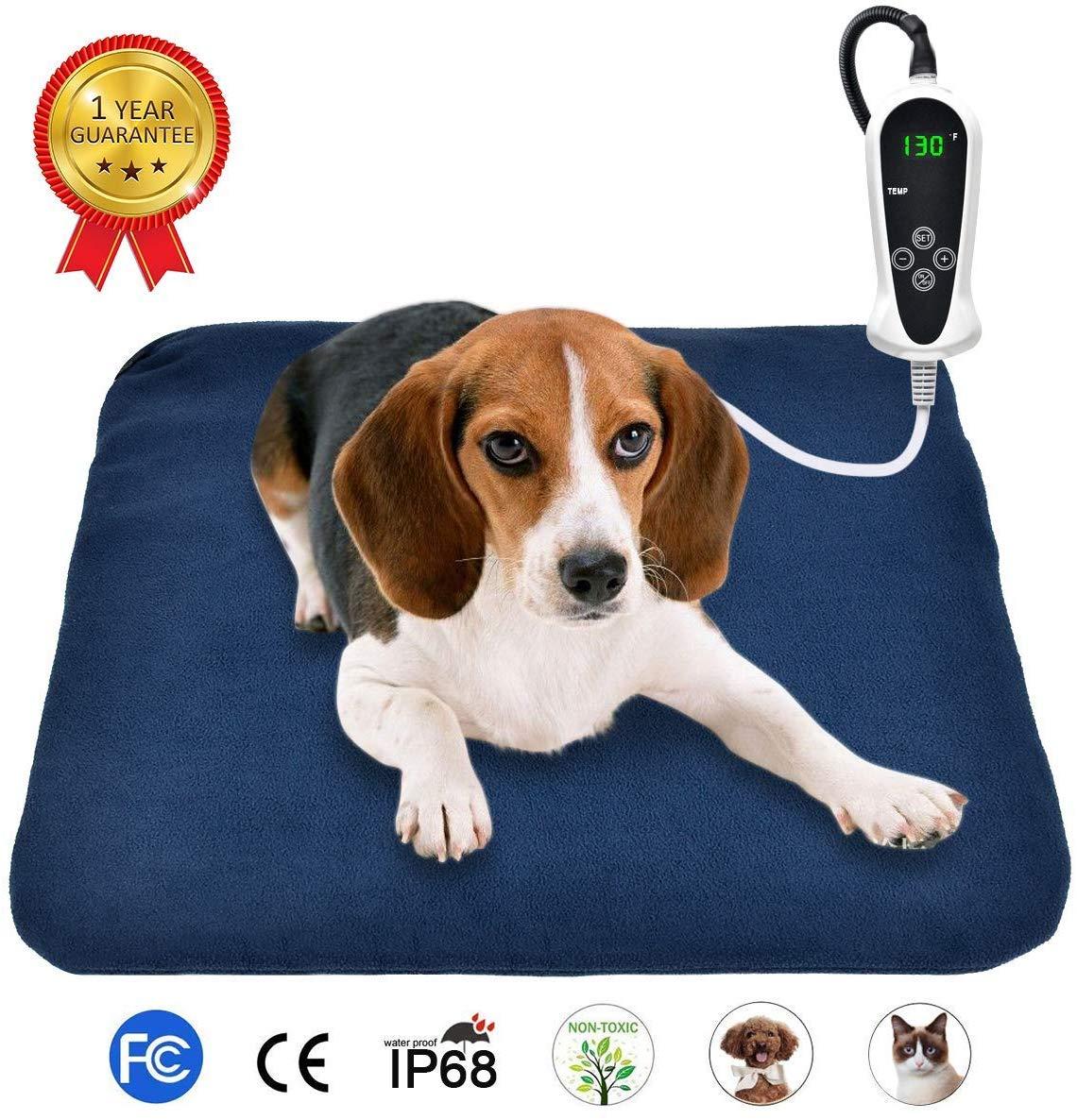 gadgets para mascotas