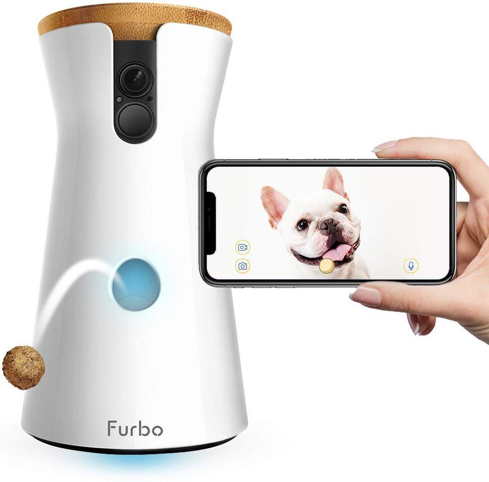 gadgets para perros