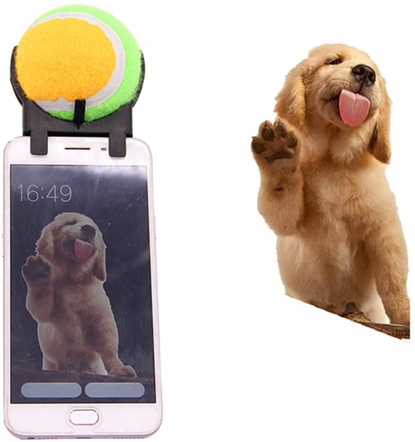gadgets para perros