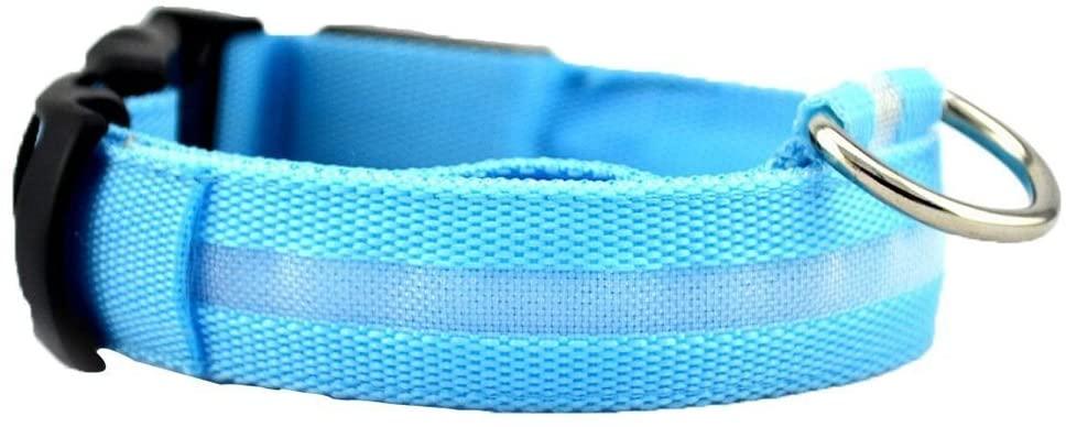 gadgets para perros