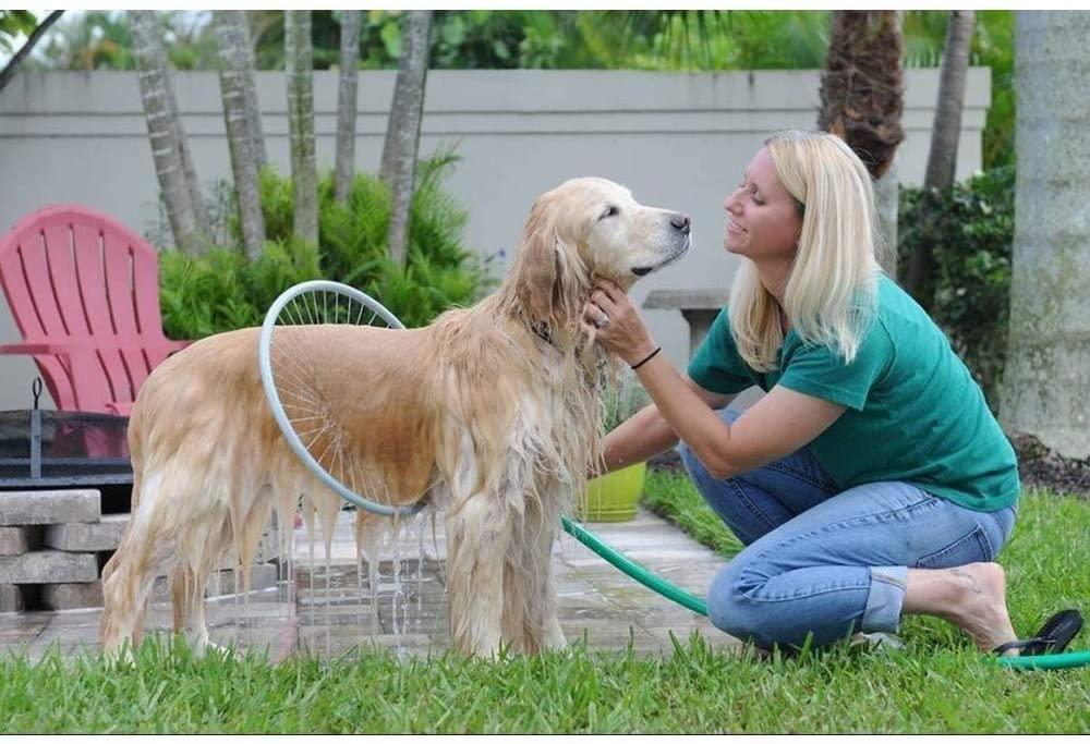 gadgets para perros