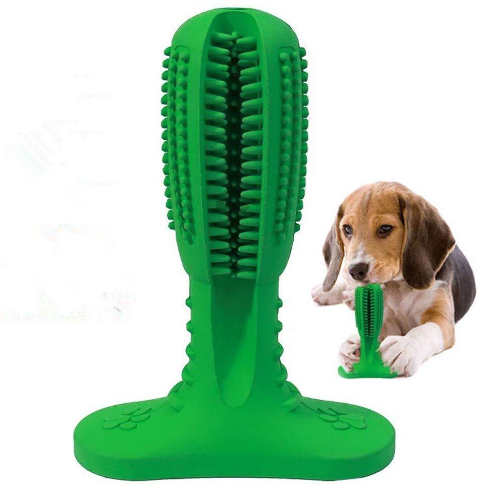 gadgets para perros