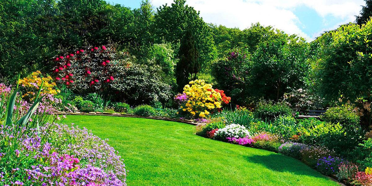 Dise&ntilde;o de jard&iacute;n