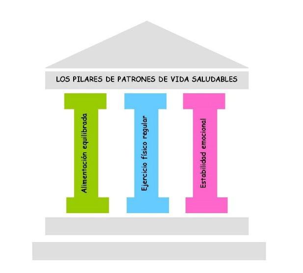 piramide de la salud