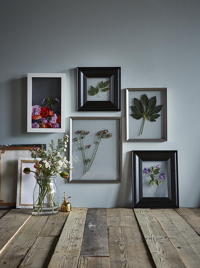 SI LAS PLANTAS NO SON LO MÍO