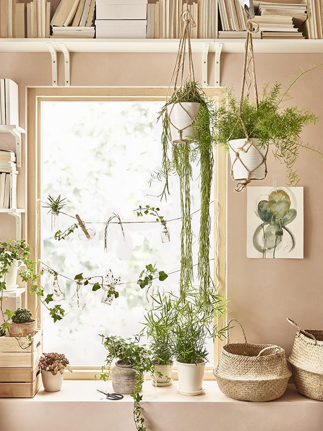 CÓMO DECORAR CON PLANTAS: UN JARDÍN COLGANTE