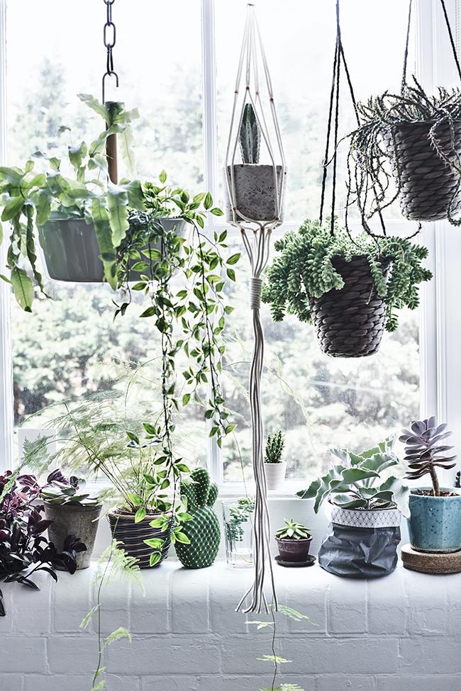 CÓMO DECORAR CON PLANTAS: UN JARDÍN COLGANTE