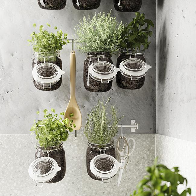 CÓMO DECORAR CON PLANTAS EN UN ESPACIO REDUCIDO