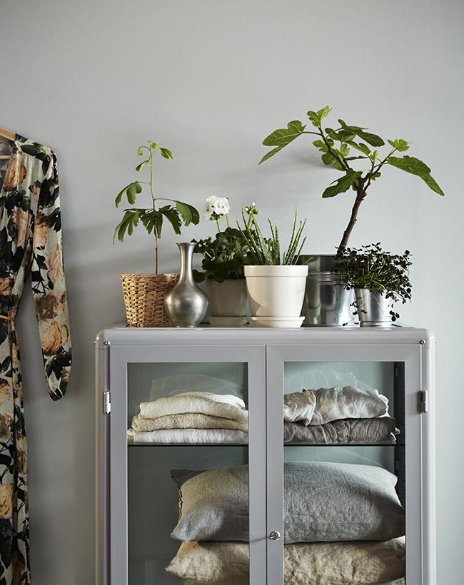 CREA UN PEQUEÑO OASIS CON PLANTAS