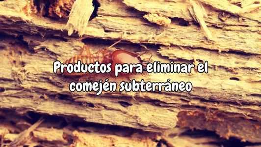 Productos para eliminar el comején subterráneo
