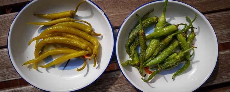 encurtir guindillas y piparras