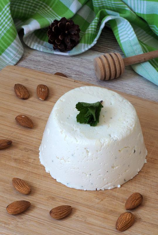 receta queso fresco casero