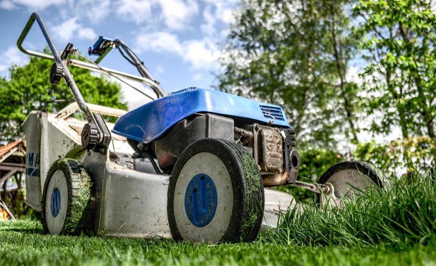 El mantenimiento del césped