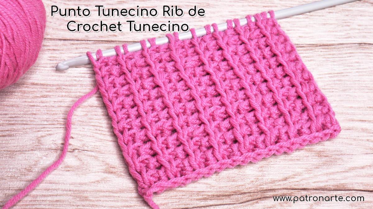 Punto Tunecino Rib de Crochet Tunecino