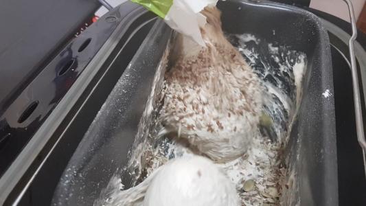 Pan con semillas en panificadora (10)