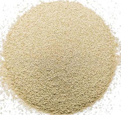 Levadura seca activa