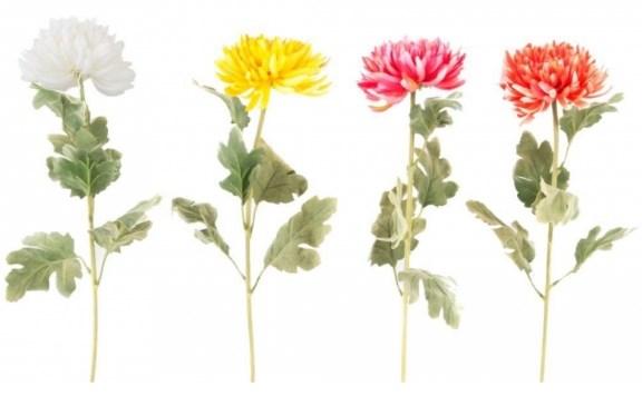 Los crisantemos son una especie de plantas que ahuyentan las cucarachas