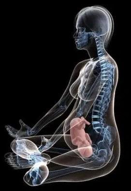 Importancia del calcio durante el embarazo y la lactancia