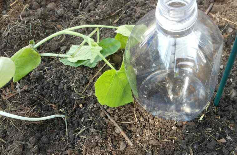 sistema de riego por goteo