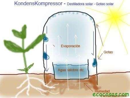 sistema de riego con botellas