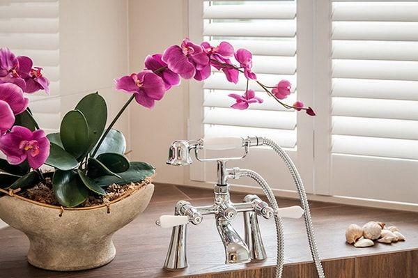 decorar con orquideas