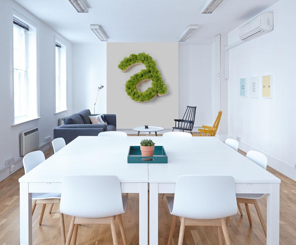 cuadros de musgo en la oficina