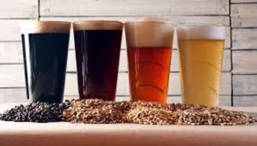 La cerveza como aliado contra la osteoporosis