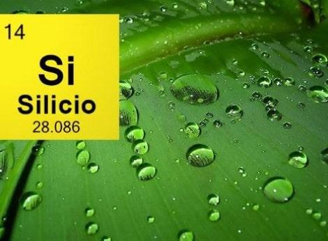 Relación silicio - cerveza