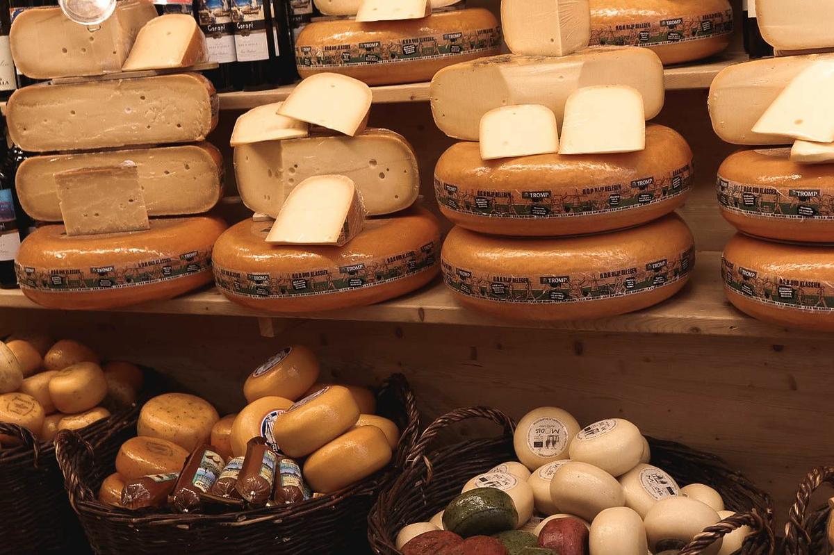 mejores excursiones desde Ámsterdam