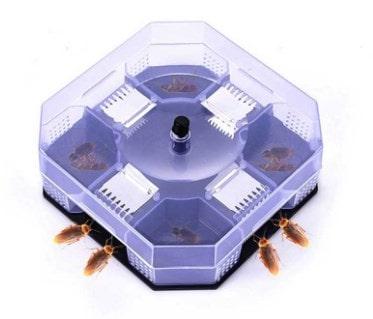 trampas para cucarachas venenosas