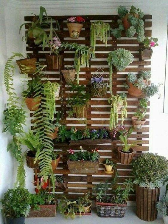 balcón con encanto, pared con plantas