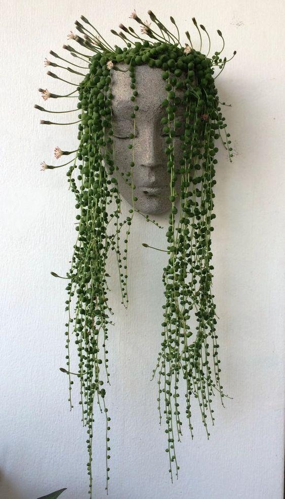 decorar con plantas colgantes en casa II