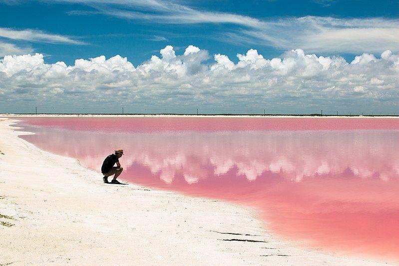 Las Coloradas desde Cancún