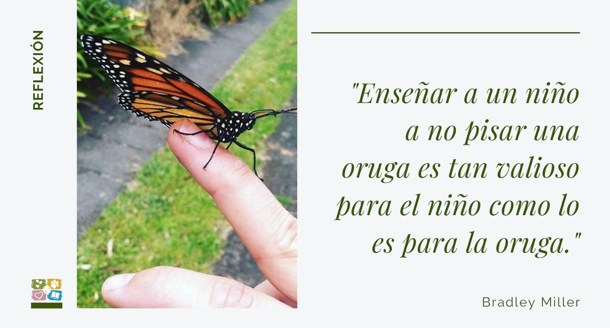 Foto de mariposa en mano con texto: Enseñar a un niño a no pisar una oruga es tan valioso para el niño como lo es para la oruga. Bradley Miller. 