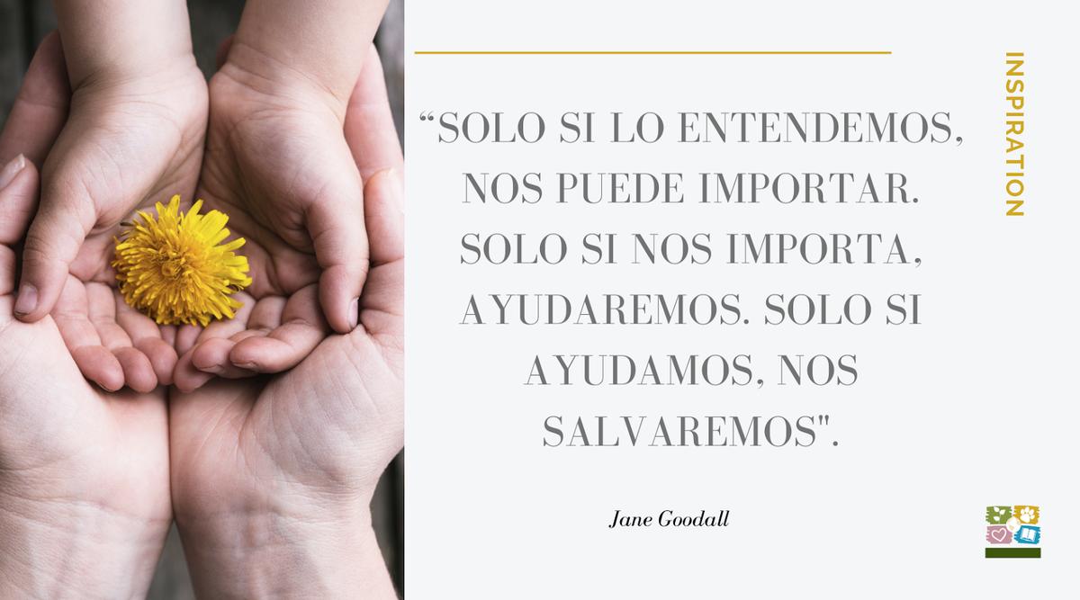 Foto de manos con flor y luego el texto: "Sólo si lo entendemos nos puede importar. Solo si nos importa, ayudaremos. Sólo si ayudamos nos salvaremos" Jane Goodall
