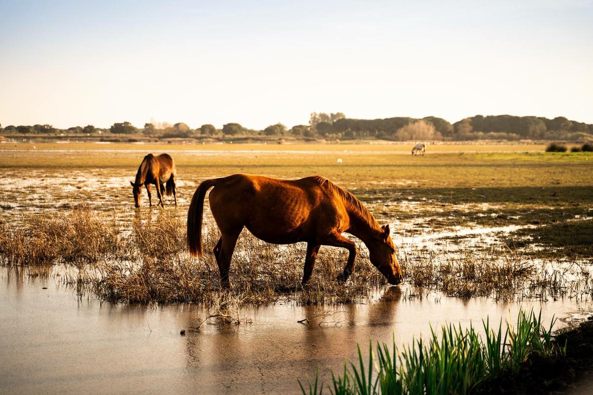 Los 11 destinos top para viajar este verano por España