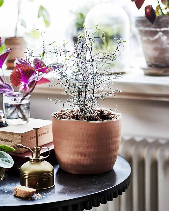 Una colección de emprendedores