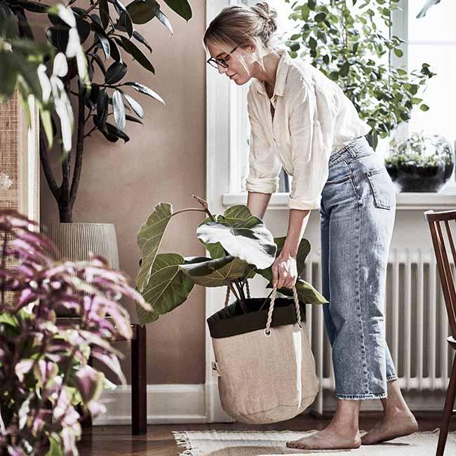 Una colección para echar raíces, literalmente