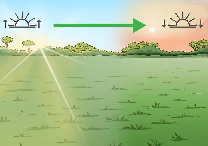 construir un invernadero