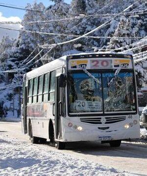 transporte publico colectivo