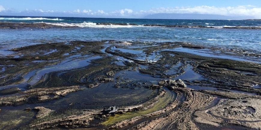 piedra volcánica de Hawái