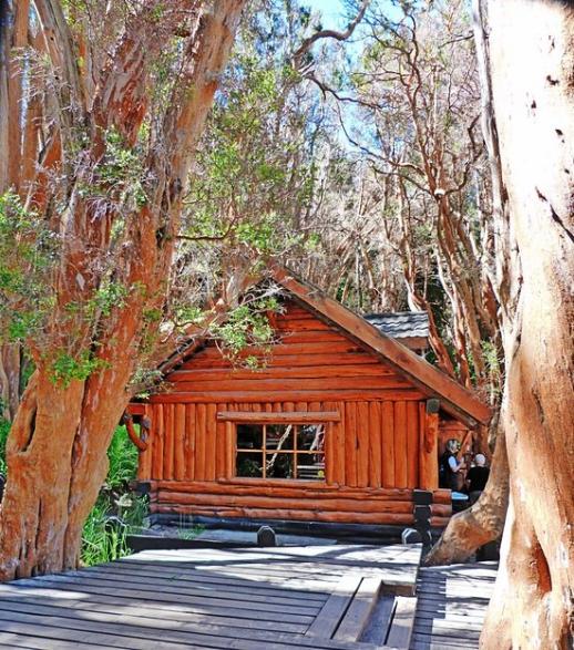 casa de te en bosque de arrayanes