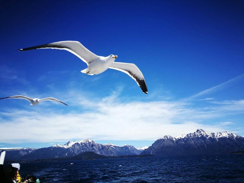 navegación por lago nahuel huapi