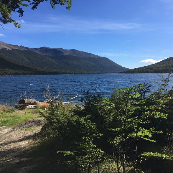 lago escondido ruta 7 lagos