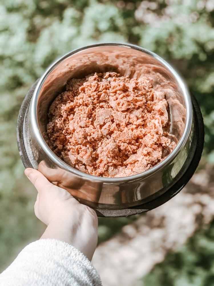 comida natural casera para perros