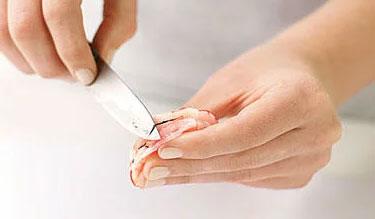 Retirar intestino a gambones para ceviche