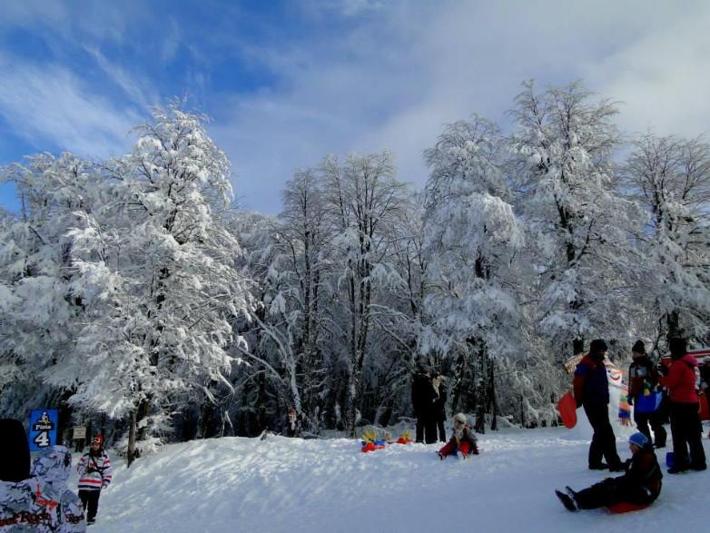 culipatín en bariloche